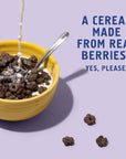 Seven Sundays Berry Cereal, Grain Free, Non GMO, 8 Ounces (Pack Of 6)